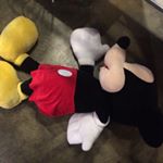 12729461_570859279738269_84161270_a