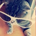 891363_654202531317041_1452544562_a