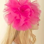 12750039_182417705464204_589883628_a