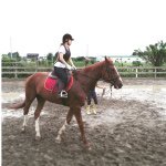 11821285_123189138026355_300115559_a