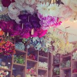 10932201_822250551168343_234813162_a