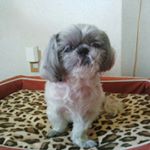 11848924_471855902986942_159220906_a