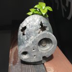 11326533_835947739854488_1963884291_a