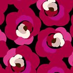 1168692_1698418333748532_980109223_a