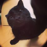 12132785_1920869288139016_722891777_a