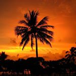 12080658_782827651843931_976133241_a