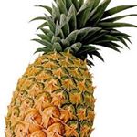 12534169_161101277594242_315288460_a