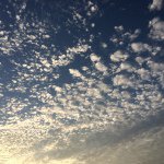 10724823_1558526634359738_271448711_a