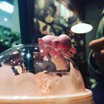 12677287_540462792795586_1771312602_a