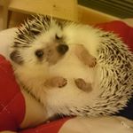 10956862_635554803214425_1727030989_a