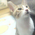 11348219_884791108224946_1202056223_a