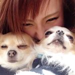 1389689_349078878596214_1496396282_a