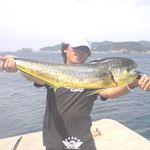 12446235_1059114827484905_641597463_a