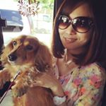 1724862_1645086009063363_574585158_a