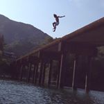 12383297_924706484291604_70034404_a