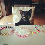 12224522_1673533992885536_1076558836_a