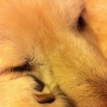 11348210_1681094308776908_1923092594_a