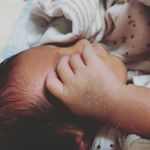 12729617_487258144816324_1043815652_a