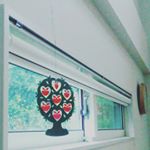 928228_1174582109221223_926071846_a