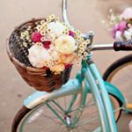 11313600_1048708848496355_666500570_a