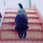 1170351_984987308262054_930119541_a