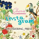 11410344_1687781058116576_910508747_a