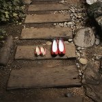 11349210_414443695422012_1774740649_a