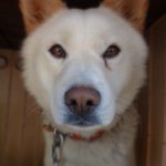 10731637_561945093939135_755111920_a