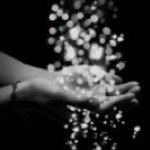 11849037_956074851140022_130533932_a