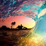 11017572_977659232246421_679932839_a