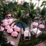 11055687_1613647808869984_803742484_a