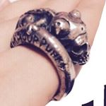 11934587_1641300859457056_1024828055_a