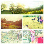 11352261_775923655838433_557757497_a