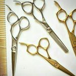 12543175_1734304526814812_1399054843_a