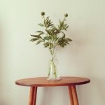 10349650_633475270079431_548242688_a