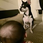 1922337_493173374221725_946824292_a