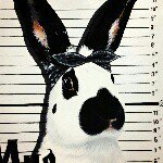 927457_1489847751270269_1697866223_a