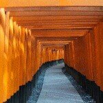 11248405_467224830115389_1432599009_a