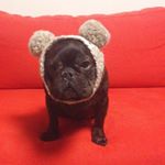 12353411_190763867938619_667036888_a