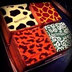 11939671_1635743556701520_373489323_a