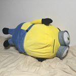 12357572_412391018960013_1096175711_a