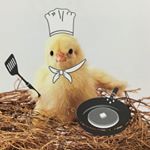 11909921_1482654218697868_1143589935_a