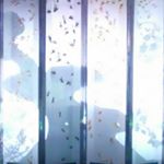 10520361_1676208212651741_939850636_a