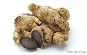 アントシアニンによって黒紫色を呈する「黒しょうが」