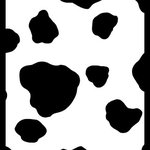 11373886_1620454011573389_1305389000_a