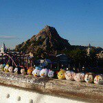 10004258_1514847468804911_1538611242_a