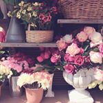 12142174_499897770187705_6636671_a