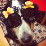 924062_372929716202254_1232025611_a