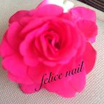 11261932_1570864159871618_200402985_a