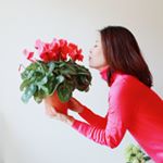 12346271_1723982427835944_1176627300_a